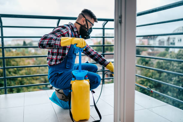istockphoto 1292311591 612x612 istockphoto 1292311591 612x612