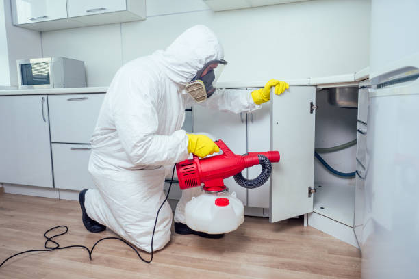worker spraying pesticide on induction hob. worker spraying pesticide on induction hob.