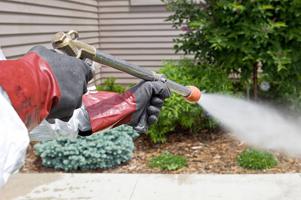istockphoto 182722734 612x612 istockphoto 182722734 612x612